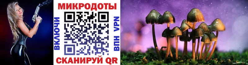 где найти   Моршанск  Галлюциногенные грибы мухоморы 
